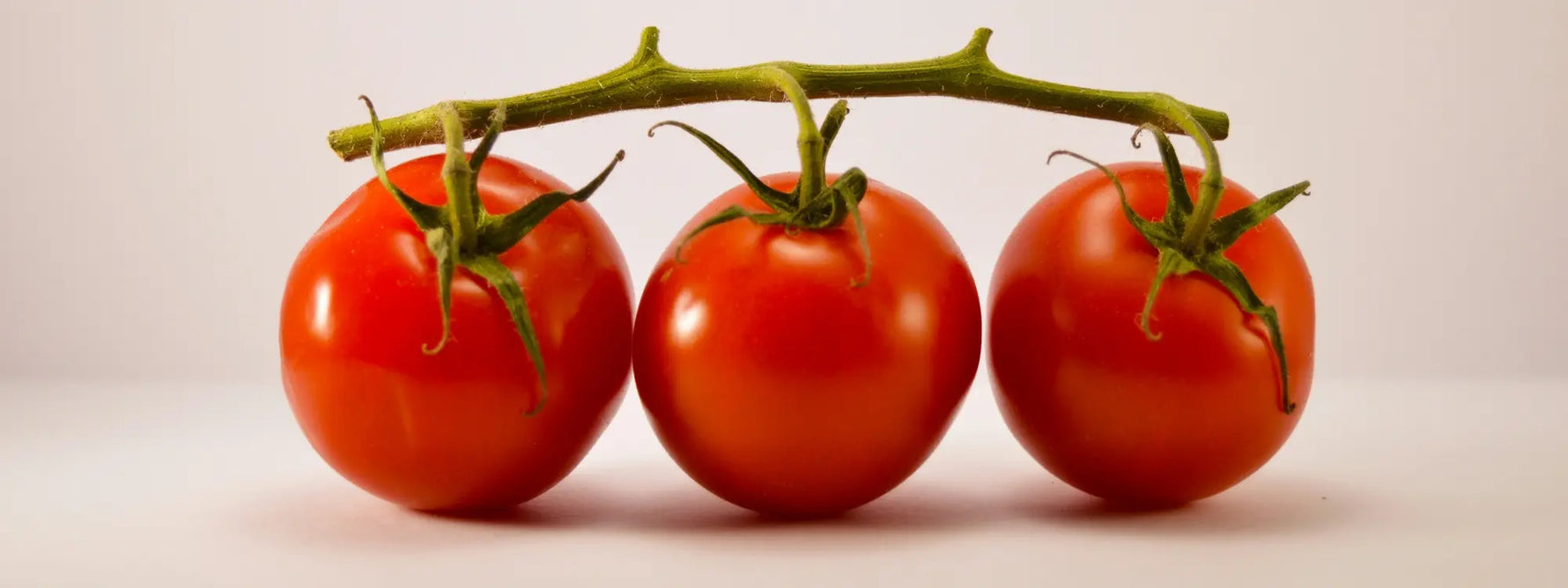 Quels sont les bienfaits de la tomate pour la santé ?