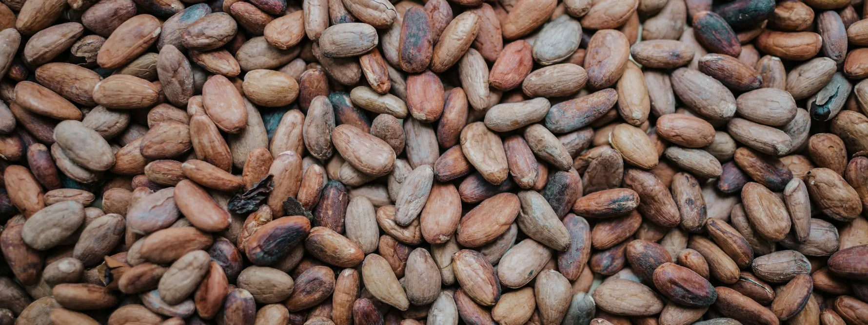 Les bienfaits du chocolat : vertus, antioxydants et conseils santé pour en profiter pleinement