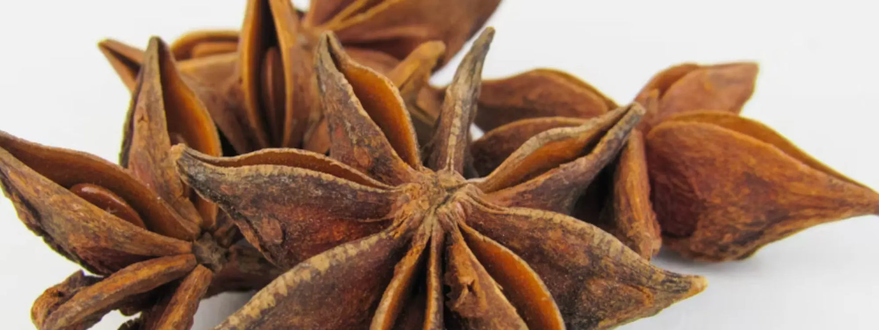 Les bienfaits de l’anis étoilé en infusion : digestion, immunité et respiration