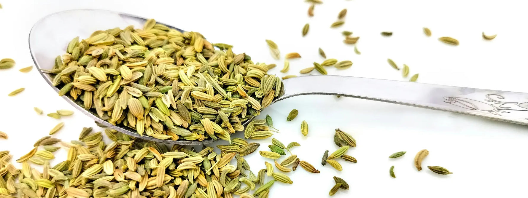 Les bienfaits de la tisane de fenouil
