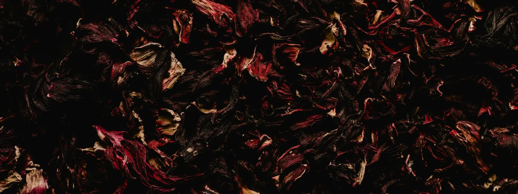 Hibiscus : bienfaits, vertus santé et conseils pour profiter pleinement de cette fleur bienfaisante