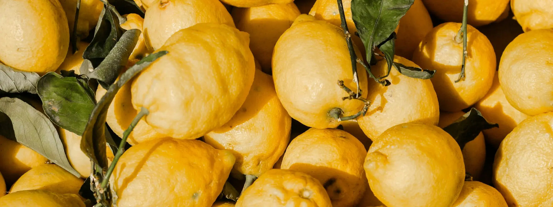 Tout savoir sur le citron et ses bienfaits