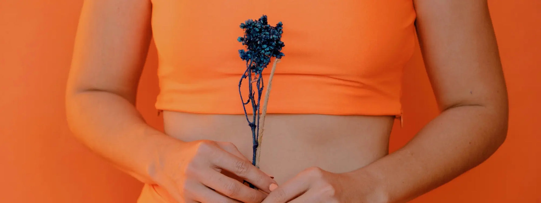 Quelles tisanes boire pour soulager les brûlures d’estomac et le reflux gastrique naturellement ?