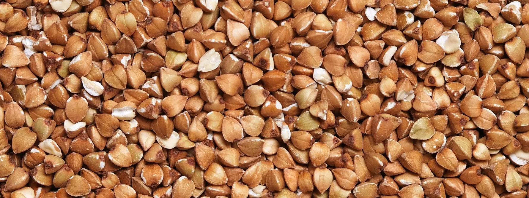 Les bienfaits du sarrasin : super-aliment sans gluten