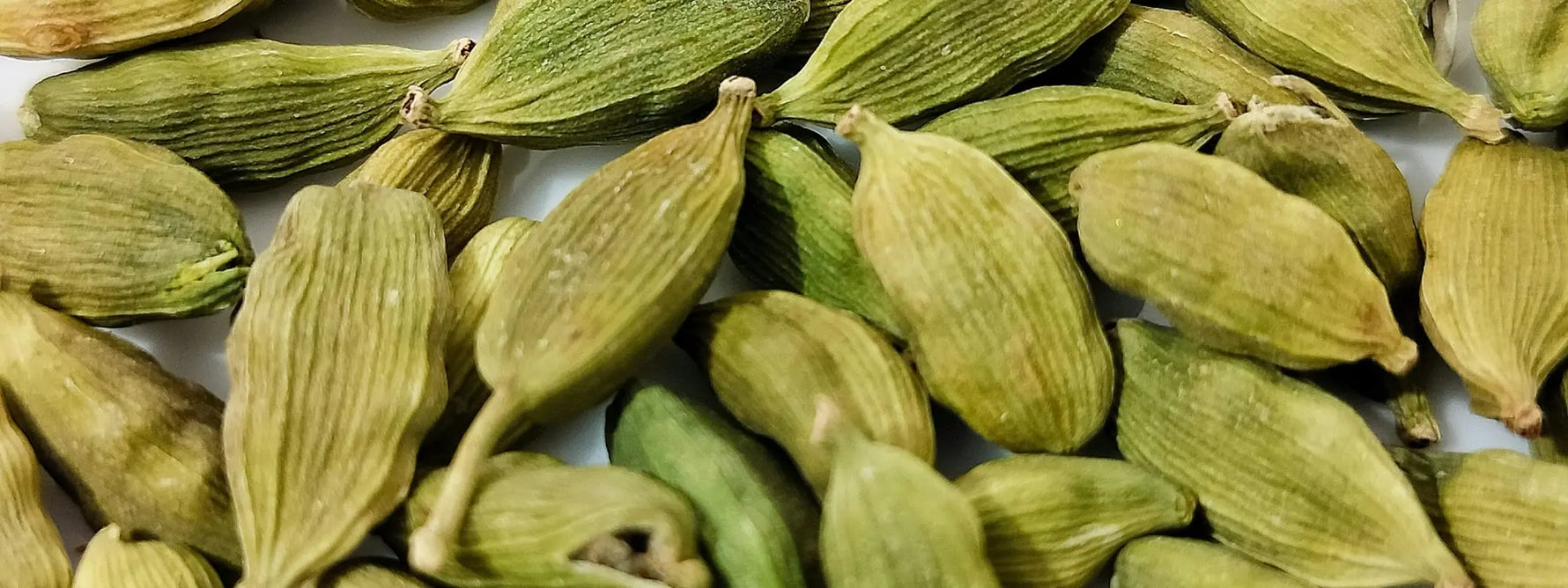 Cardamome : bienfaits, vertus digestives et propriétés médicinales