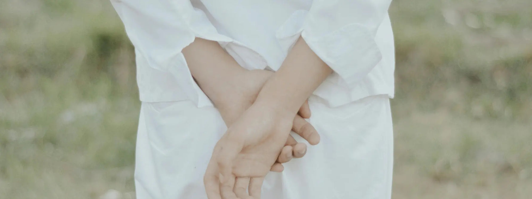 Tisanes pour les reins : les meilleures plantes pour soutenir la fonction rénale et prévenir les calculs