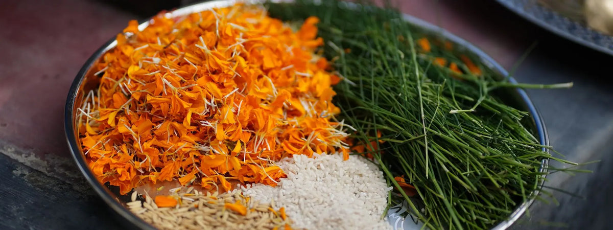 Alimentation ayurvédique : le guide complet pour équilibrer vos doshas et retrouver la vitalité