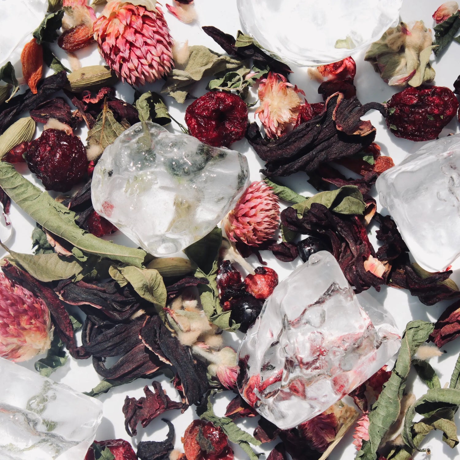Organic Infusion L'Eau Rubis - Les Glacés
