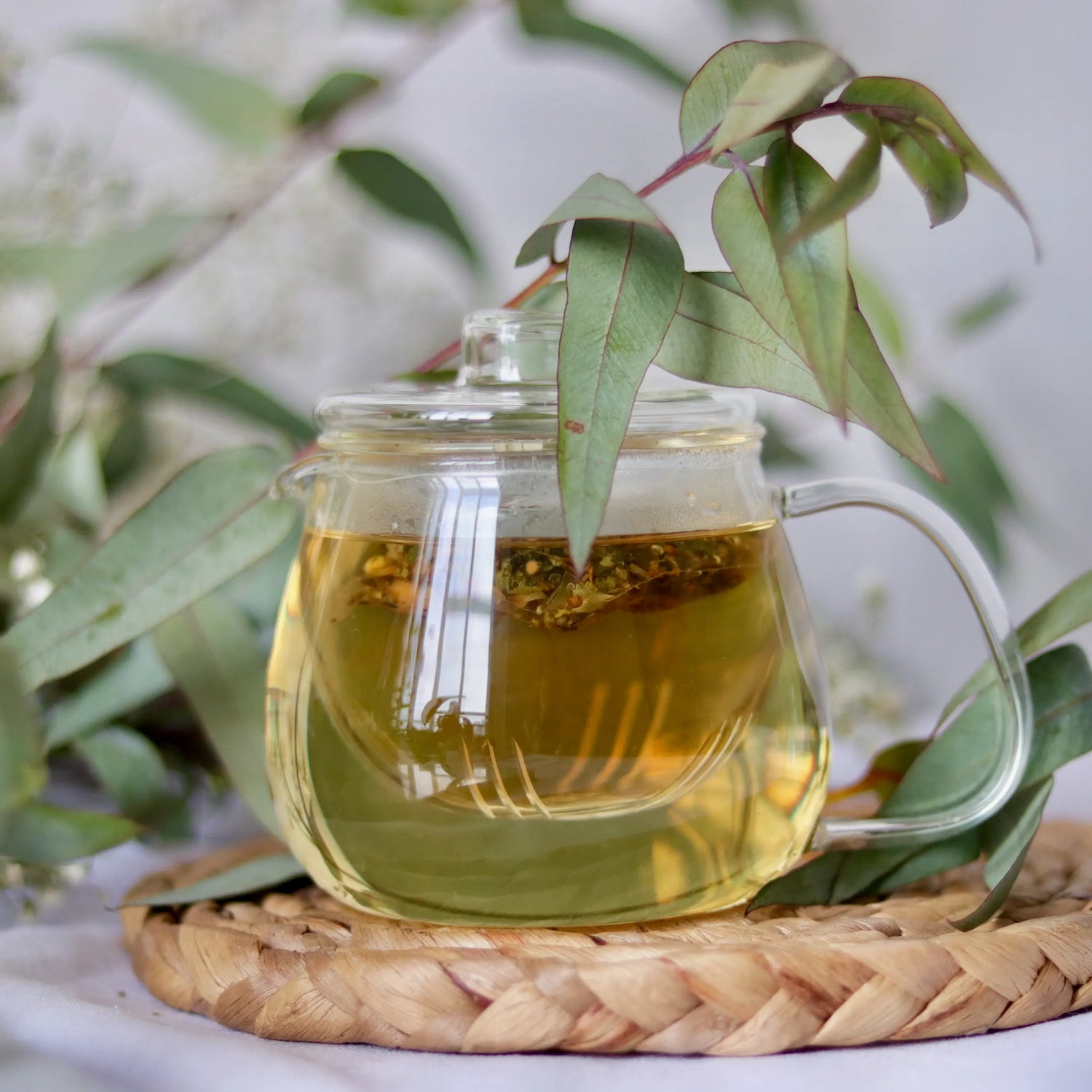 Infuseur en verre 450ml thés et infusions sachets et vrac