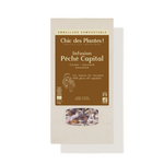 Tisane bio gourmande chocolat vrac