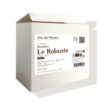 Bouillon bio japonais Le Robuste radis noir frêne shitake boîte 48 sachets 