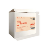 Infusion bio L'Élancée drainante vigne rouge frêne tilleul camomille boîte 48 sachets 