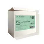 Tisane bio Pousse Délice digestion verveine romarin fenouil boîte de 48 sachets 