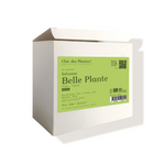Tisane bio Belle Plante détox rose frêne framboise ortie boîte 48 sachets 